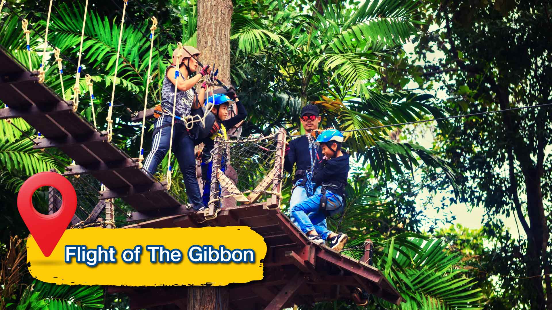 Flight of The Gibbon